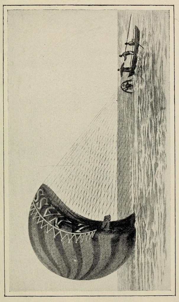 An illustration from The dominion of the air, 1903, leaf 171