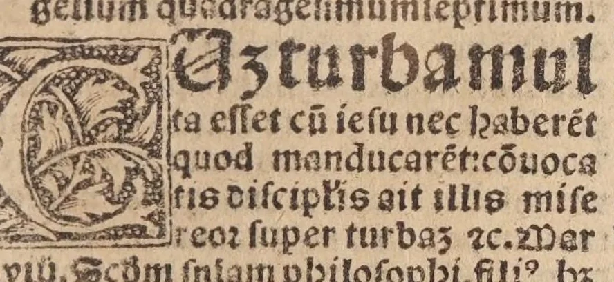 An illustration from Domini Philippi de Monte Calerio, ordinis minorum, sacre theologie professoris, Sermones dominicales, 1541, leaf 339