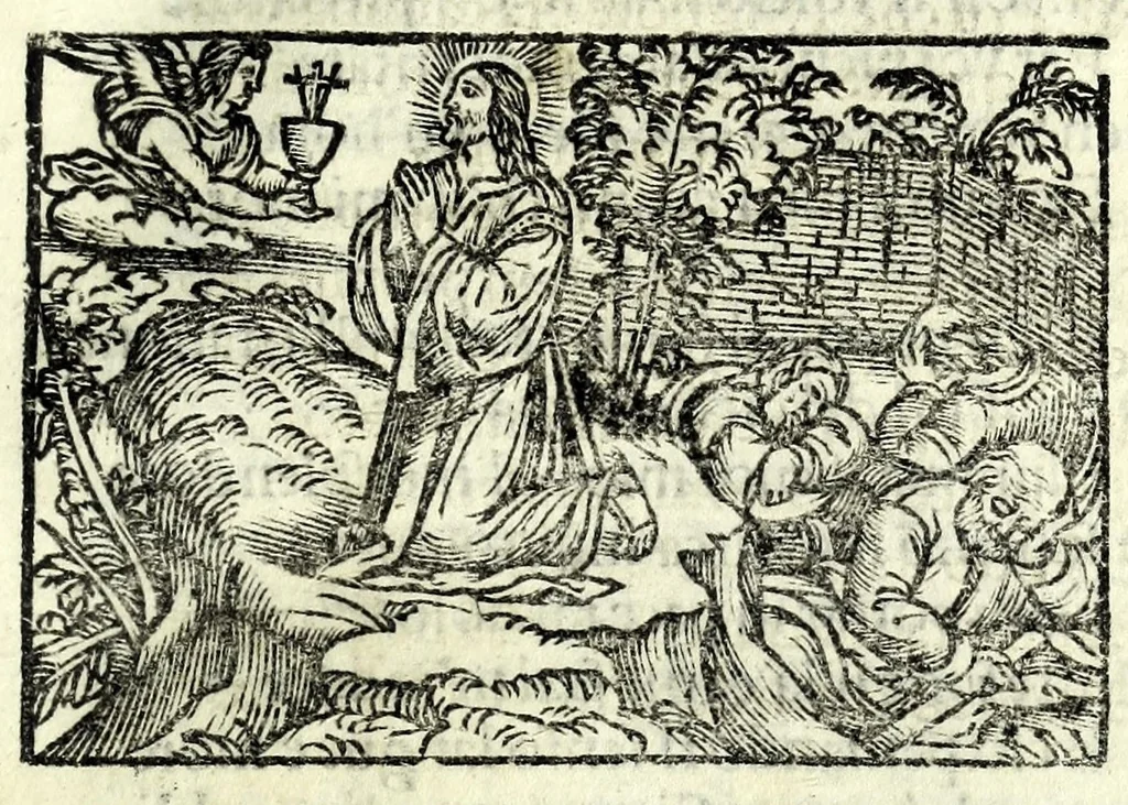 An illustration from D. O. M. Misterio dell'humana redentione, 1534, leaf 51