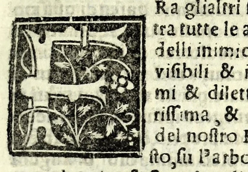 An illustration from D. O. M. Misterio dell'humana redentione, 1534, leaf 7