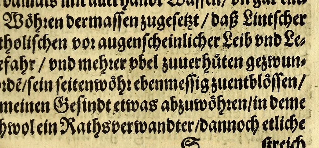 An illustration from Donawertische Relation : das ist: Gründtlicher wahrer Bericht vnd beständige kurtze Erzehlung, alles dess jenigen, was ein Zeit hero vor, bey vnd nach dem, wider die Statt Schwäbisch: oder Donawerth, vnlangst angestellten Process, Aachtserklärung, vnd darauff erfolgte Execution sich zugetragen. ... Allen vnd jeden, so ... die eigentliche Beschaffenheit dess Verlauffs nit erfahren können ..., 1610, leaf 135