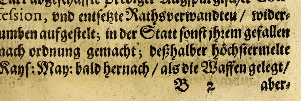 An illustration from Donawertische Relation : das ist: Gründtlicher wahrer Bericht vnd beständige kurtze Erzehlung, alles dess jenigen, was ein Zeit hero vor, bey vnd nach dem, wider die Statt Schwäbisch: oder Donawerth, vnlangst angestellten Process, Aachtserklärung, vnd darauff erfolgte Execution sich zugetragen. ... Allen vnd jeden, so ... die eigentliche Beschaffenheit dess Verlauffs nit erfahren können ..., 1610, leaf 9