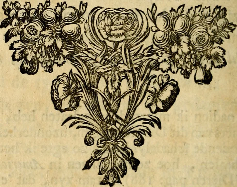 An illustration from Doorlugte voorbeelden der ouden : leerzaame zinnebeelden, nevens 't treurspel van L. Junius Brutus, vaderlyke gestrengheid, en verscheide gedigten, 1725, leaf 251