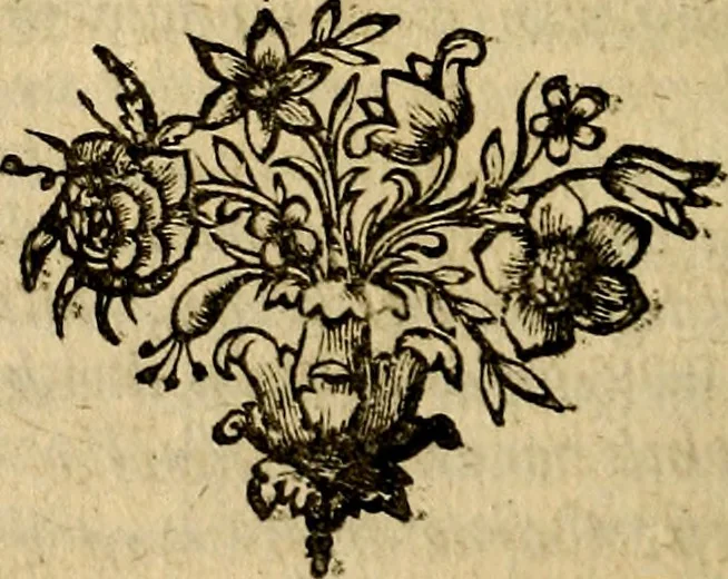 An illustration from Doorlugte voorbeelden der ouden : leerzaame zinnebeelden, nevens 't treurspel van L. Junius Brutus, vaderlyke gestrengheid, en verscheide gedigten, 1725, leaf 357