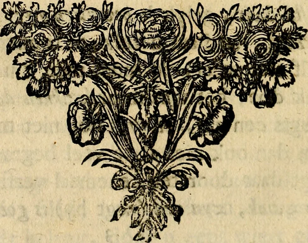 An illustration from Doorlugte voorbeelden der ouden : leerzaame zinnebeelden, nevens 't treurspel van L. Junius Brutus, vaderlyke gestrengheid, en verscheide gedigten, 1725, leaf 615