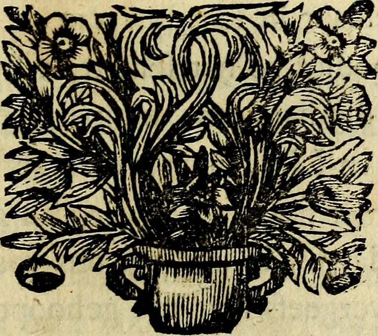 An illustration from Doorlugte voorbeelden der ouden : leerzaame zinnebeelden, nevens 't treurspel van L. Junius Brutus, vaderlyke gestrengheid, en verscheide gedigten, 1725, leaf 622