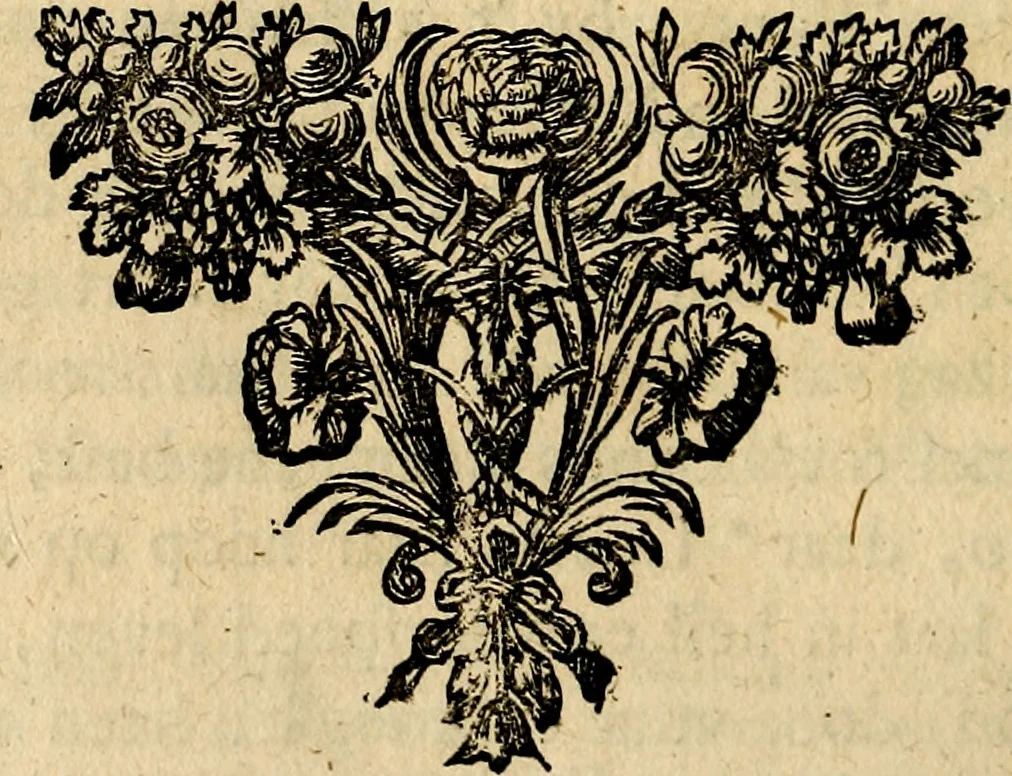 An illustration from Doorlugte voorbeelden der ouden : leerzaame zinnebeelden, nevens 't treurspel van L. Junius Brutus, vaderlyke gestrengheid, en verscheide gedigten, 1725, leaf 665