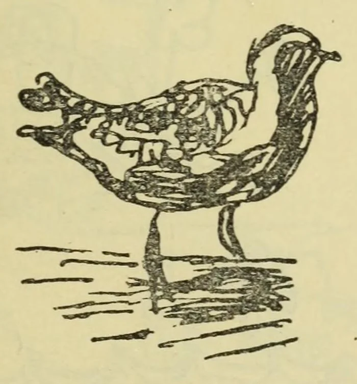 An illustration from Do?rt ile yedi yas? aras?ndaki c?ocug?un ruhiyati /, 1925, leaf 114