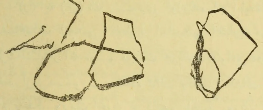 An illustration from Do?rt ile yedi yas? aras?ndaki c?ocug?un ruhiyati /, 1925, leaf 78