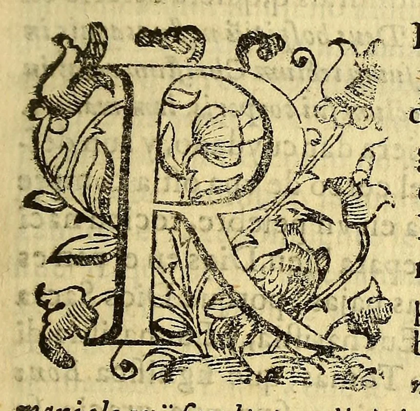 An illustration from Dos sermones en la fiesta de N.P.S. Augustin el vno; : y en la canonizacion del glorioso San Ignacio de Loyola el otro., 1631, leaf 17