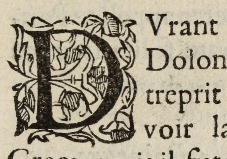 An illustration from Dovze fables de flevves ov fontaines : avec la description pour la peinture, & les epigrammes, 1585, leaf 41