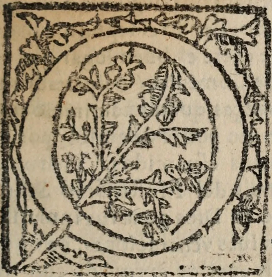 An illustration from Doze actos sacramentales, y dos comedias divinas, 1624, leaf 8