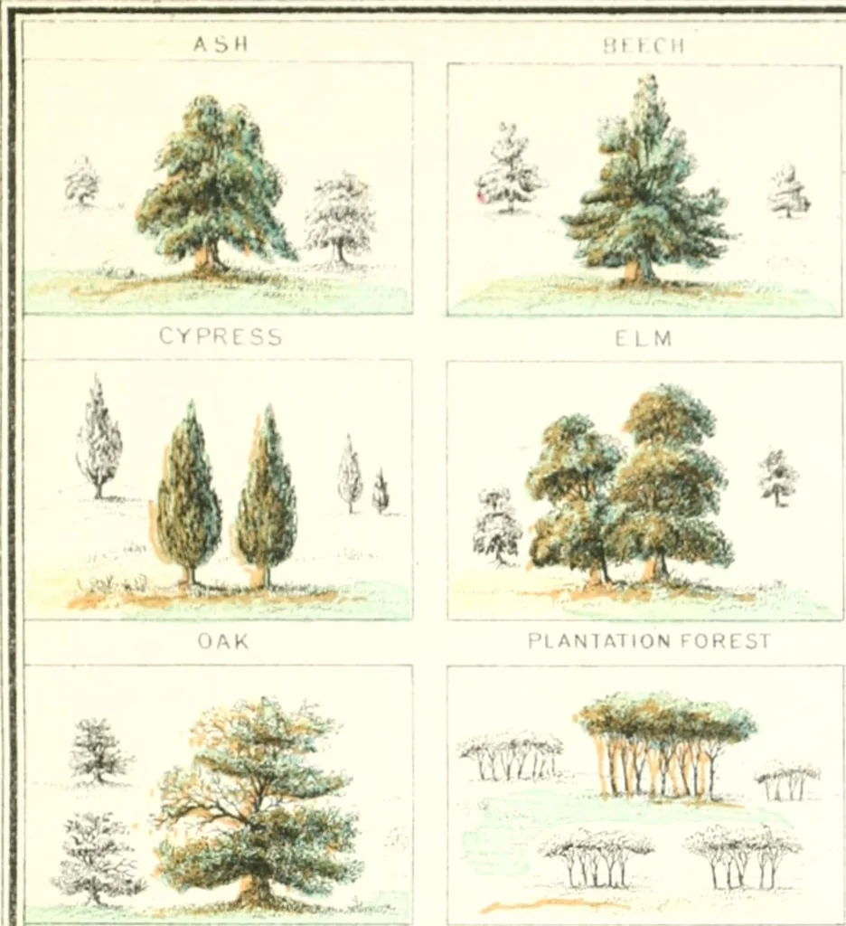 An illustration from The draughtsman's handbook of plan and map drawing, including instructions for the preparation of engineering, architectural, and mechanical drawings, 1874, leaf 197