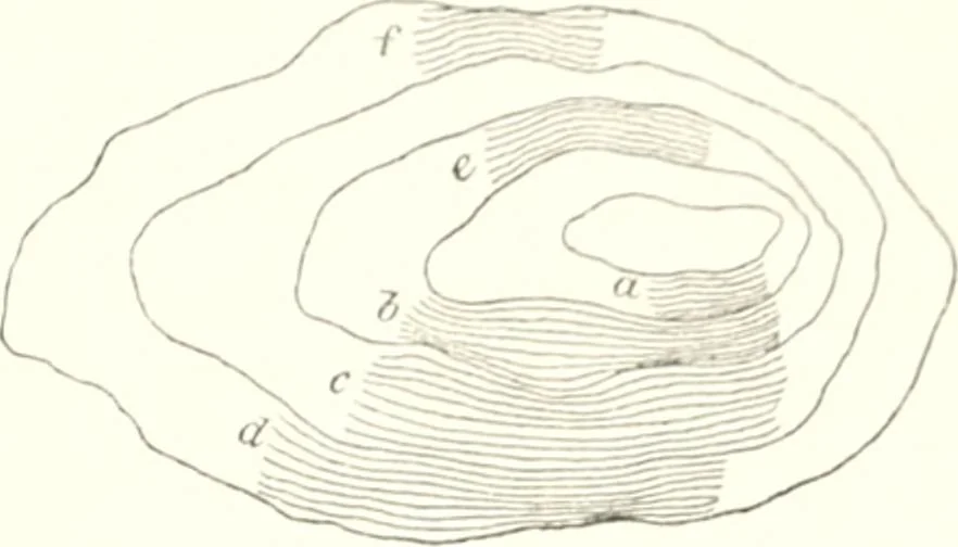 An illustration from The draughtsman's handbook of plan and map drawing, including instructions for the preparation of engineering, architectural, and mechanical drawings, 1874, leaf 75