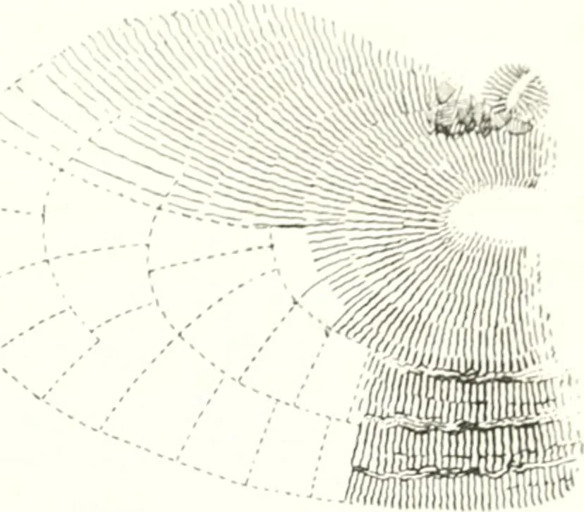 An illustration from The draughtsman's handbook of plan and map drawing, including instructions for the preparation of engineering, architectural, and mechanical drawings, 1874, leaf 83