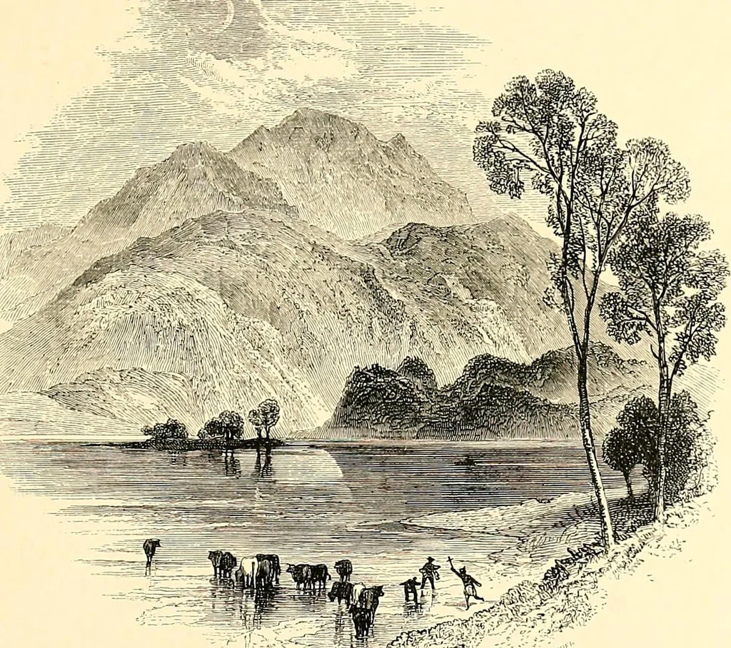 An illustration from Drawing & engraving : a brief exposition of technical principles & practice, 1892, leaf 147
