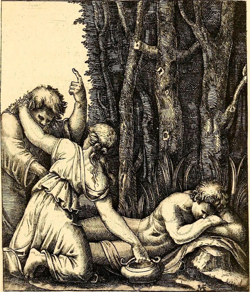 An illustration from Drawing & engraving : a brief exposition of technical principles & practice, 1892, leaf 179