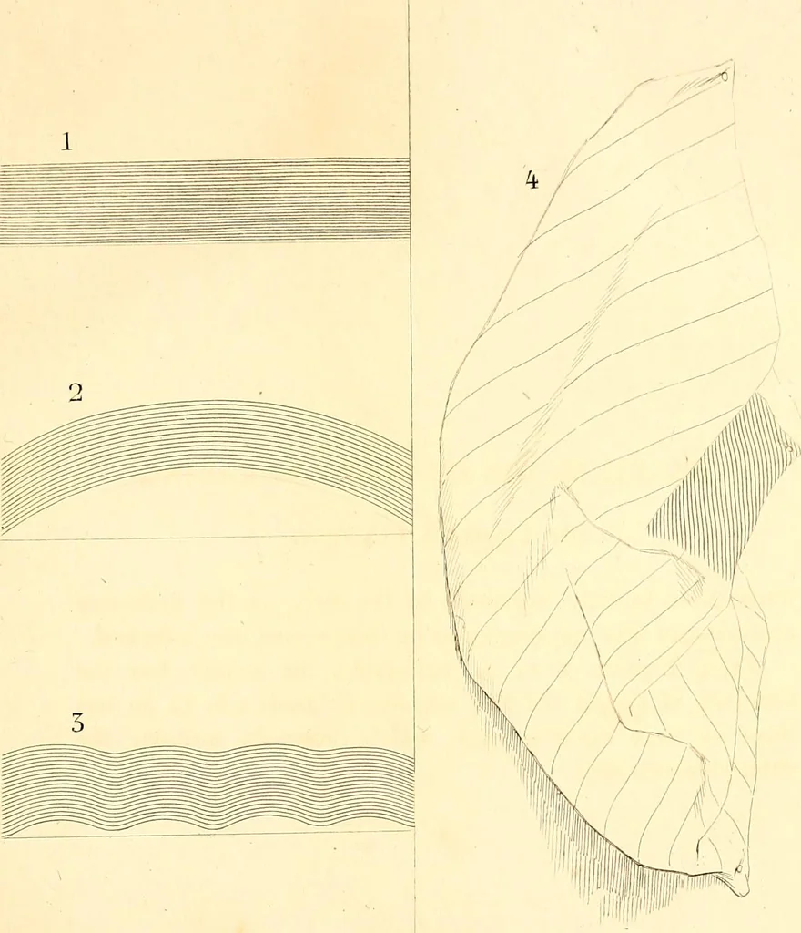 An illustration from Drawing & engraving : a brief exposition of technical principles & practice, 1892, leaf 285