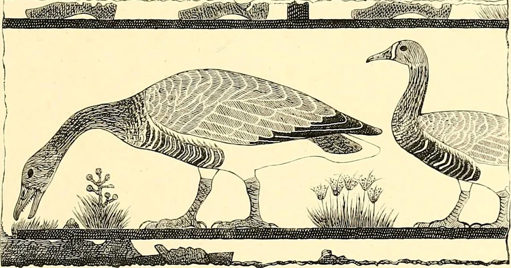 An illustration from Drawing & engraving : a brief exposition of technical principles & practice, 1892, leaf 37