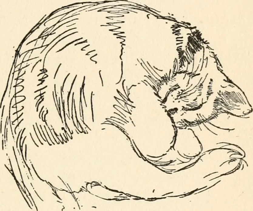 An illustration from Drawing for beginners, 1920, leaf 115