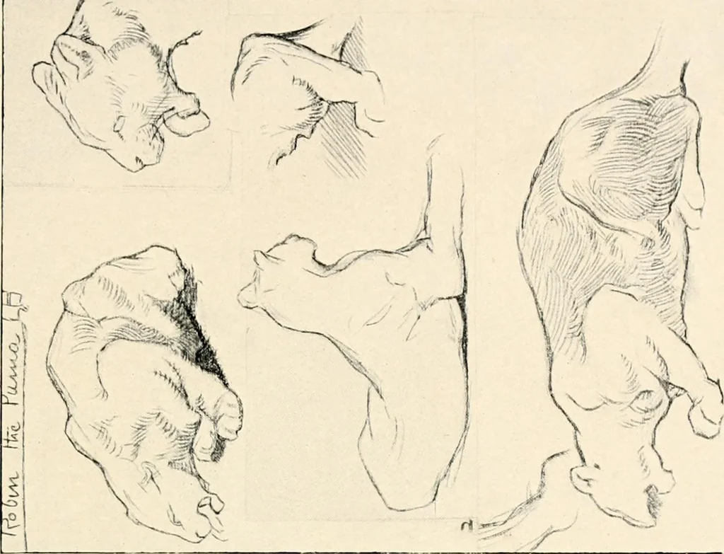 An illustration from Drawing for beginners, 1920, leaf 117