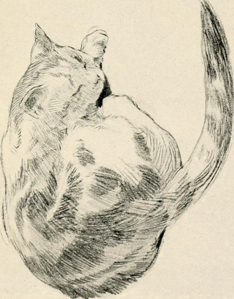An illustration from Drawing for beginners, 1920, leaf 117