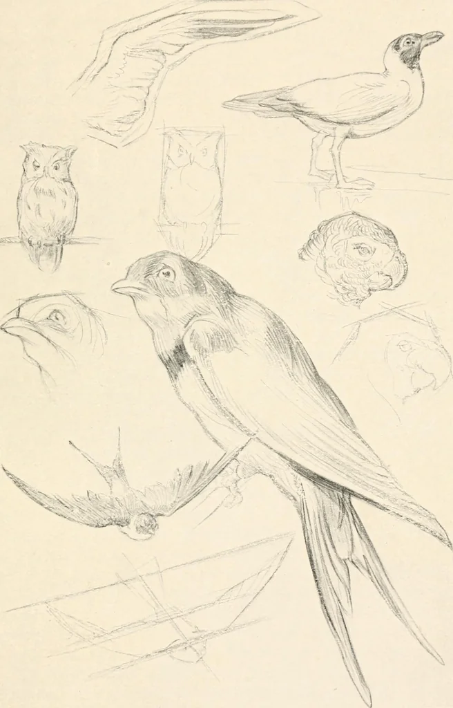 An illustration from Drawing for beginners, 1920, leaf 121