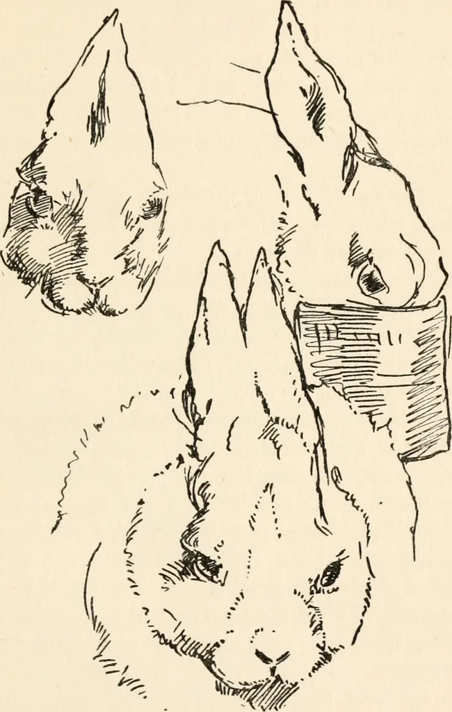 An illustration from Drawing for beginners, 1920, leaf 129