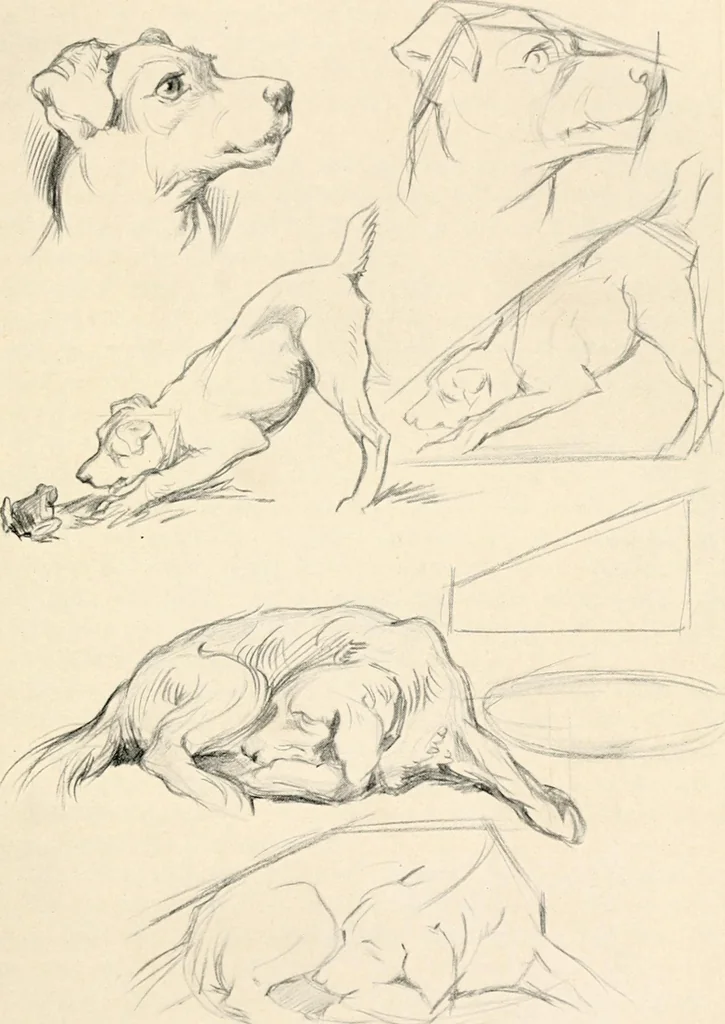 An illustration from Drawing for beginners, 1920, leaf 135