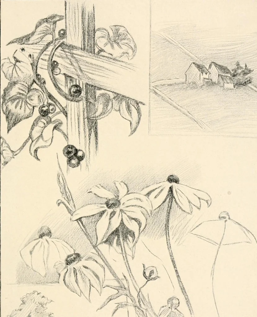 An illustration from Drawing for beginners, 1920, leaf 187
