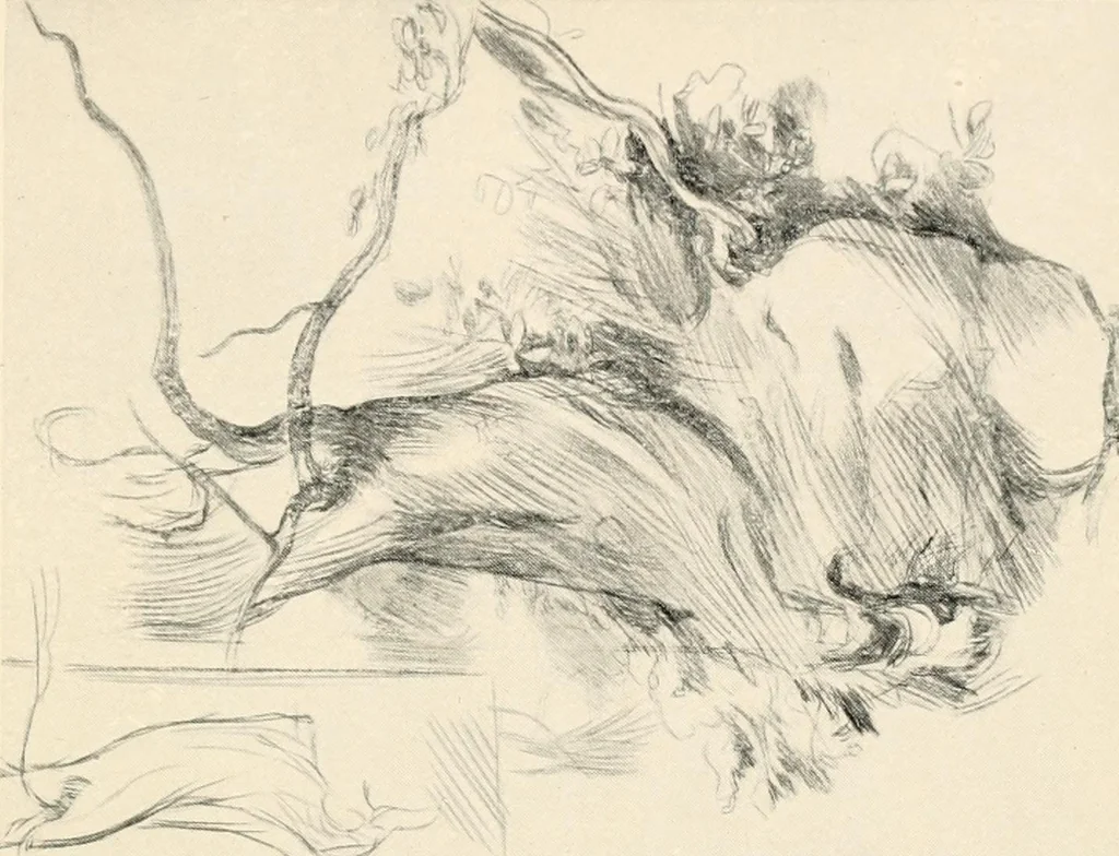 An illustration from Drawing for beginners, 1920, leaf 191