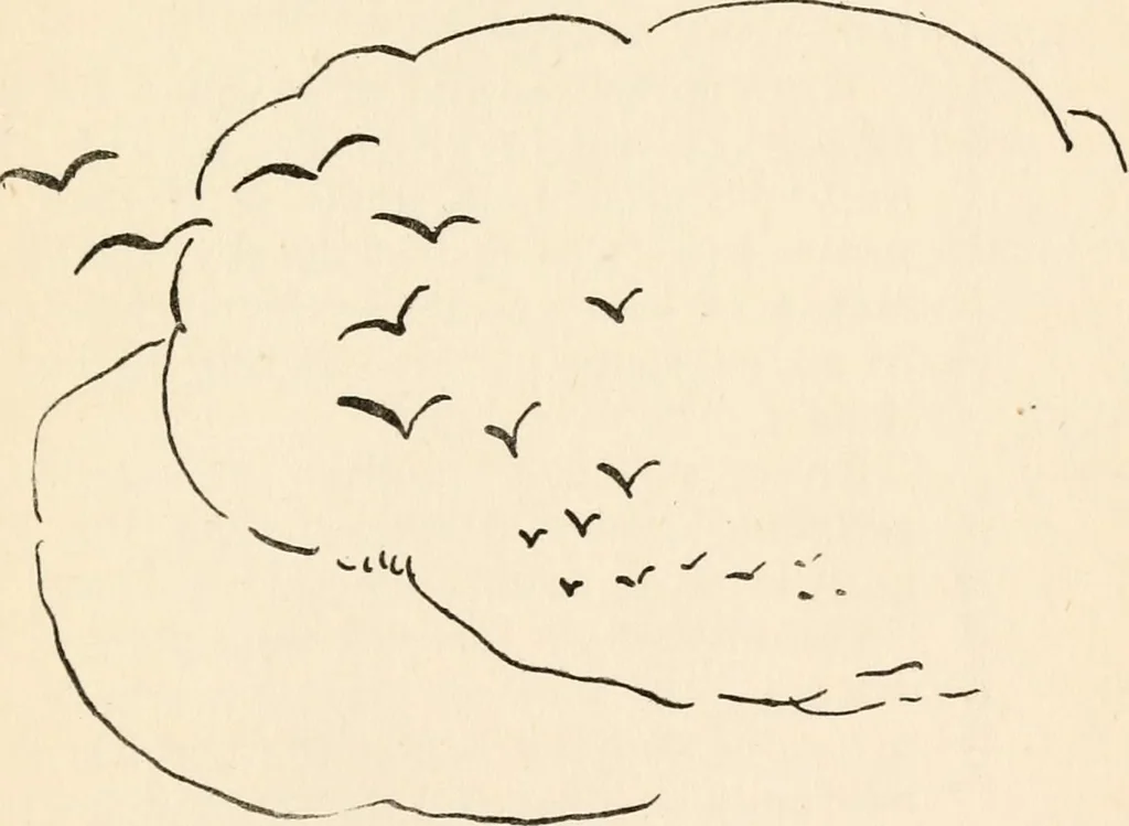 An illustration from Drawing for beginners, 1920, leaf 221
