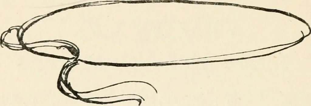 An illustration from Drawing for beginners, 1920, leaf 222
