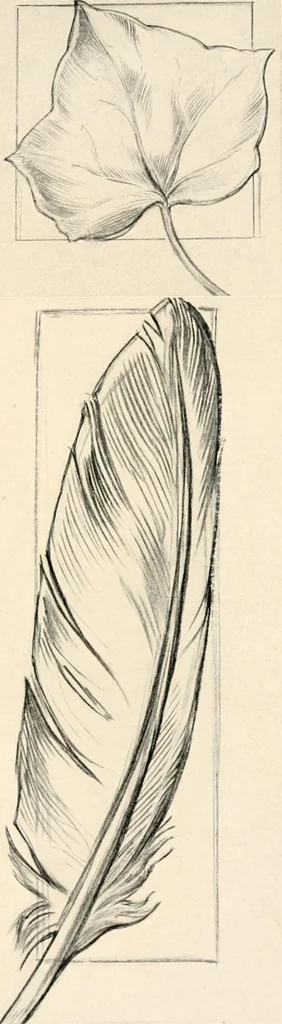 An illustration from Drawing for beginners, 1920, leaf 29