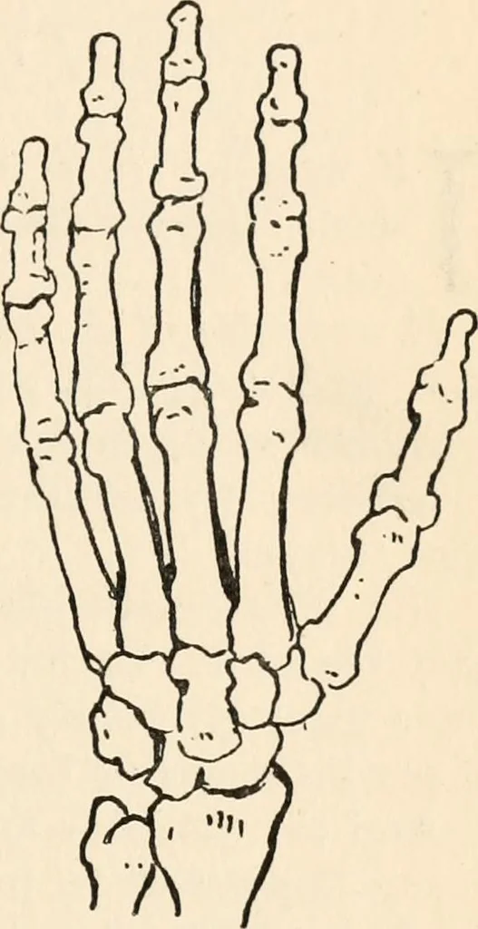 An illustration from Drawing for beginners, 1920, leaf 67