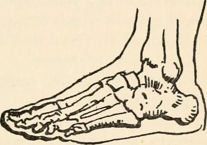 An illustration from Drawing for beginners, 1920, leaf 81