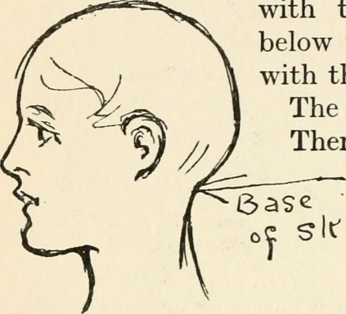 An illustration from Drawing for beginners, 1920, leaf 84