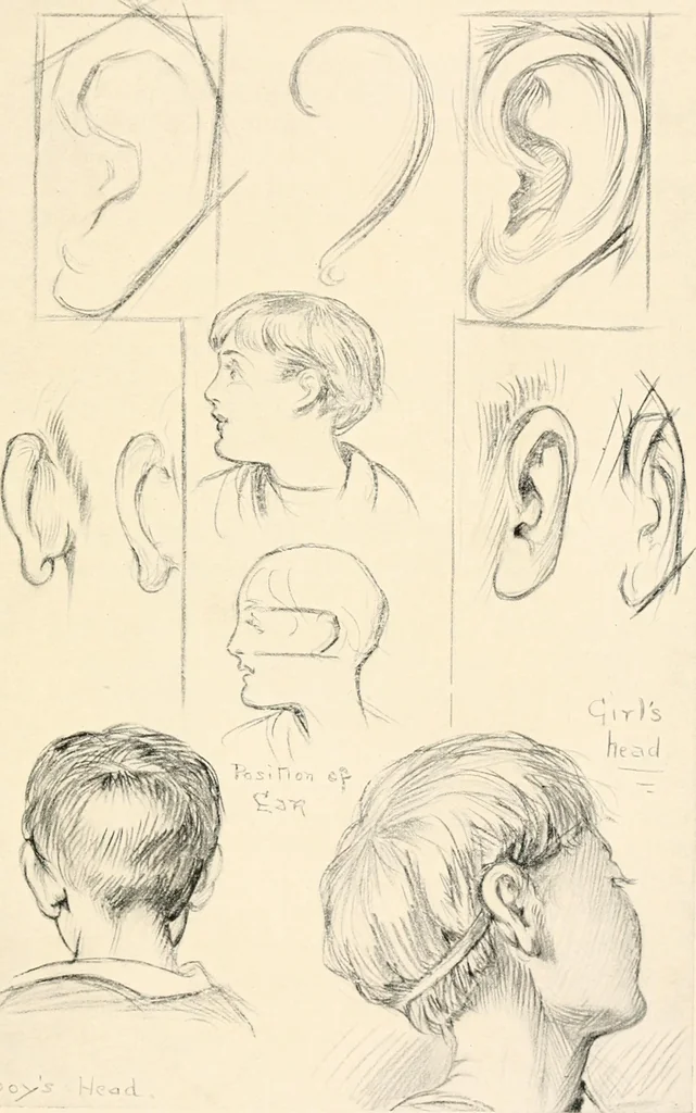 An illustration from Drawing for beginners, 1920, leaf 97
