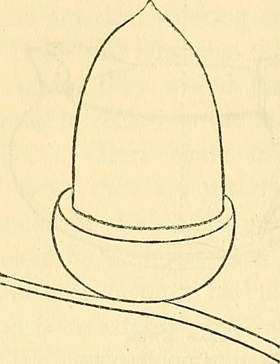 An illustration from Drawing in public schools : the system of instruction, 1874, leaf 31