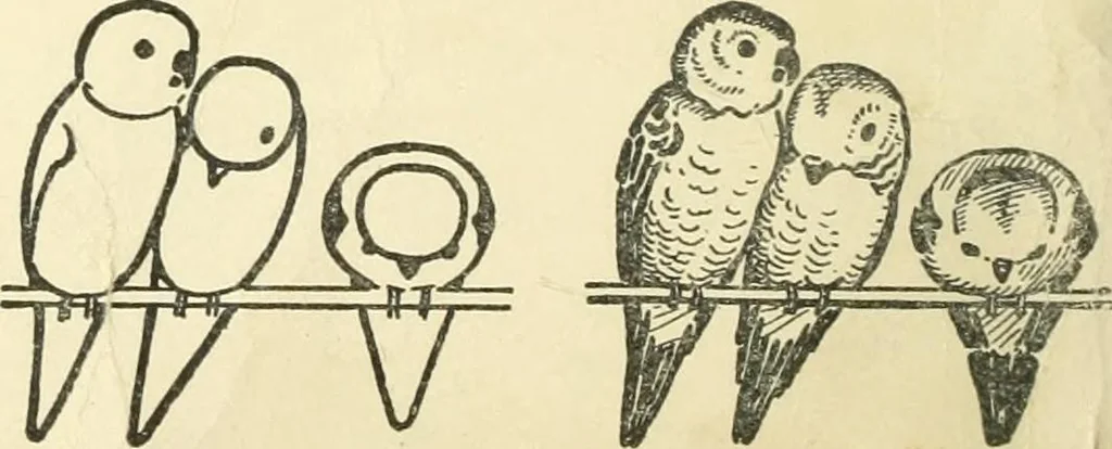An illustration from Drawing made easy : a helpful book for young artists; the way to begin and finish your sketches, clearly shown step by step, 1921, leaf 14