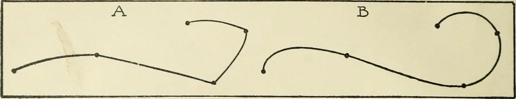 An illustration from Drawing made easy : a helpful book for young artists; the way to begin and finish your sketches, clearly shown step by step, 1921, leaf 16