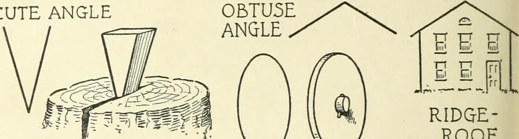 An illustration from Drawing made easy : a helpful book for young artists; the way to begin and finish your sketches, clearly shown step by step, 1921, leaf 20