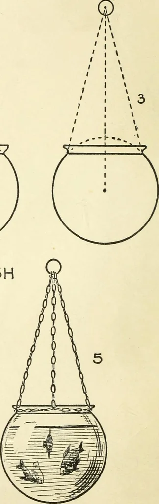 An illustration from Drawing made easy : a helpful book for young artists; the way to begin and finish your sketches, clearly shown step by step, 1921, leaf 26