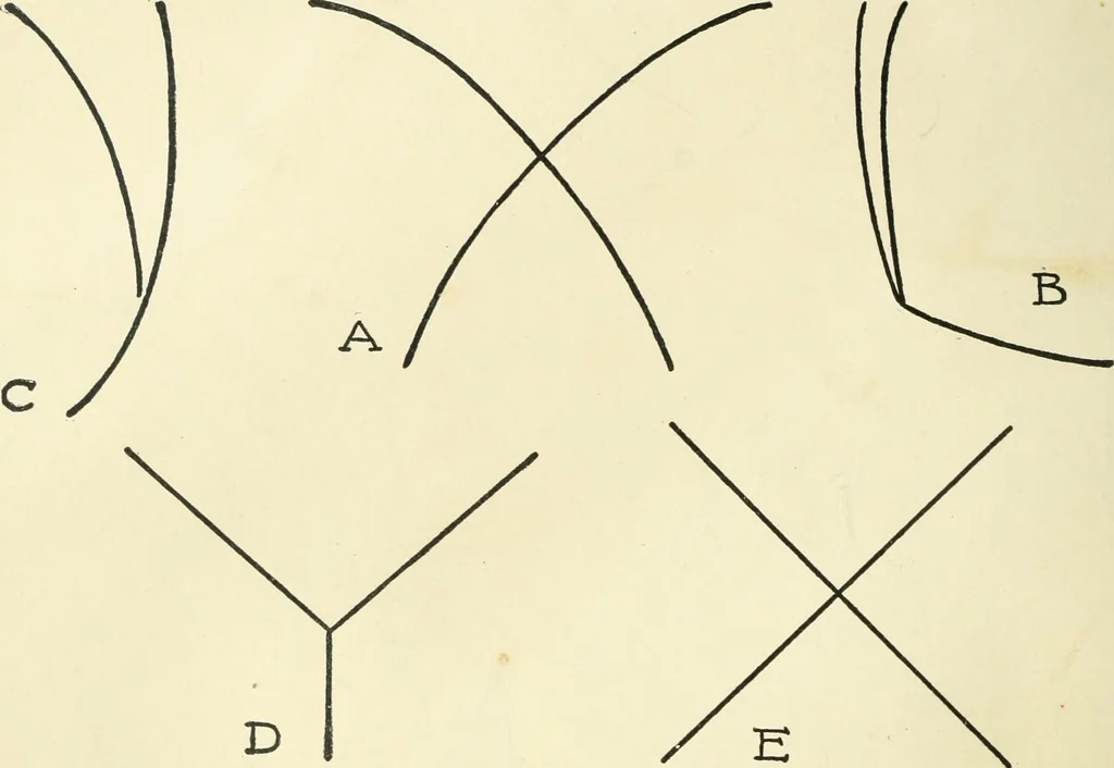 An illustration from Drawing made easy : a helpful book for young artists; the way to begin and finish your sketches, clearly shown step by step, 1921, leaf 32