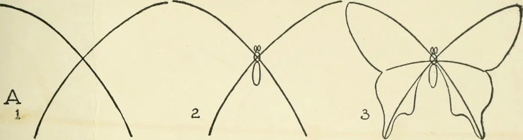 An illustration from Drawing made easy : a helpful book for young artists; the way to begin and finish your sketches, clearly shown step by step, 1921, leaf 33