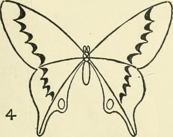 An illustration from Drawing made easy : a helpful book for young artists; the way to begin and finish your sketches, clearly shown step by step, 1921, leaf 33