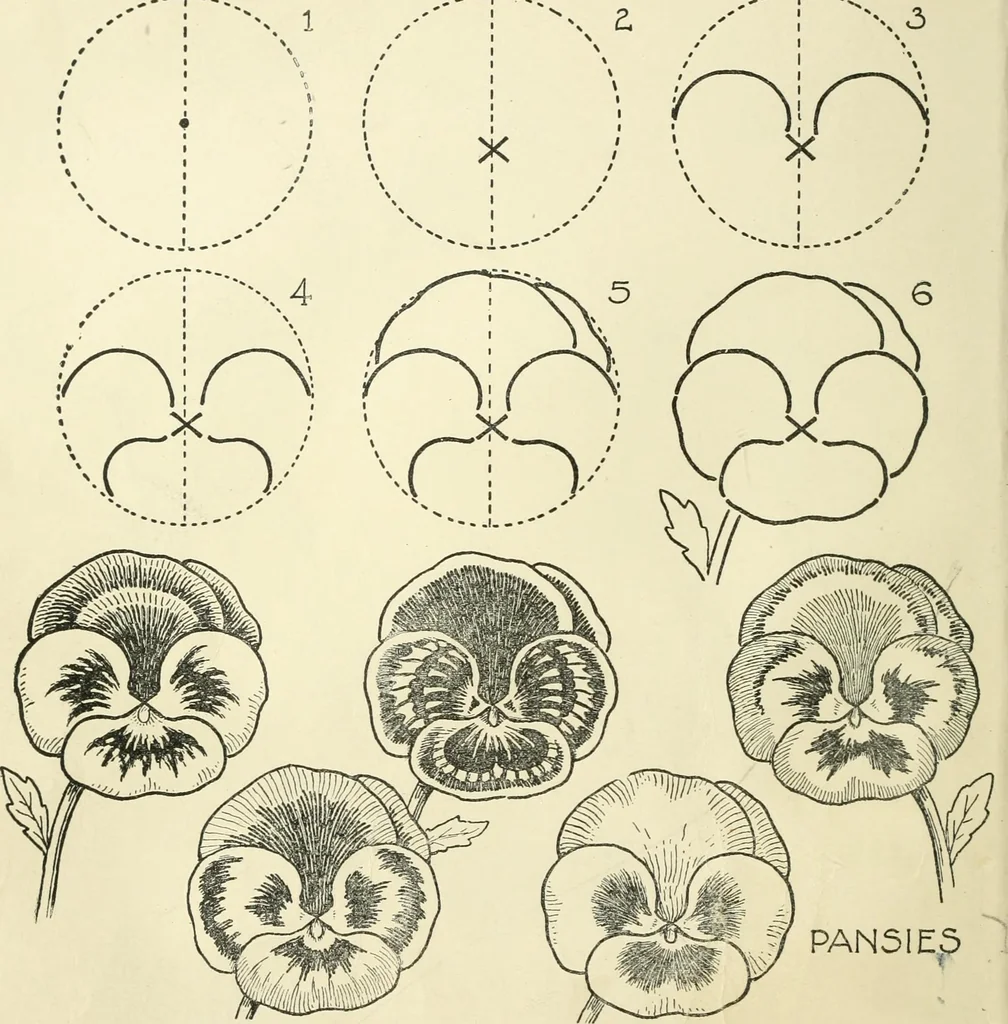 An illustration from Drawing made easy : a helpful book for young artists; the way to begin and finish your sketches, clearly shown step by step, 1921, leaf 38