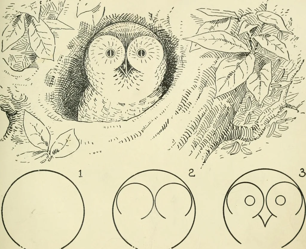 An illustration from Drawing made easy : a helpful book for young artists; the way to begin and finish your sketches, clearly shown step by step, 1921, leaf 45