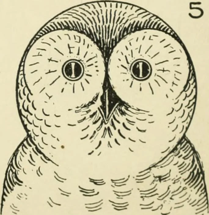 An illustration from Drawing made easy : a helpful book for young artists; the way to begin and finish your sketches, clearly shown step by step, 1921, leaf 45