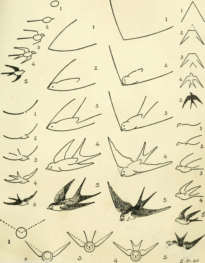 An illustration from Drawing made easy : a helpful book for young artists; the way to begin and finish your sketches, clearly shown step by step, 1921, leaf 47